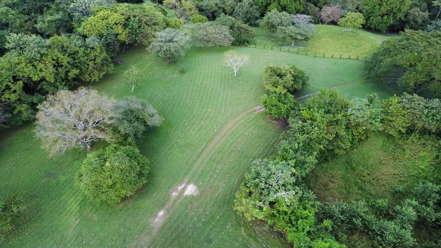Meadow seen from above
