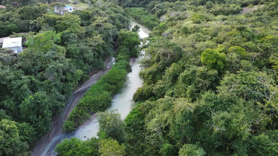 Aerial view of a river through the forest